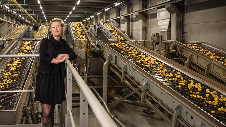 Agristo investeert 350 miljoen in Noord-Frankrijk