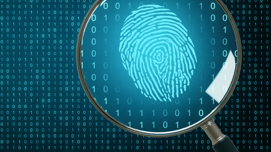 1 op de 2 Belgen vindt documentfraude eenvoudig